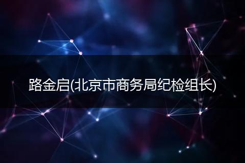 路金启(北京市商务局纪检组长)