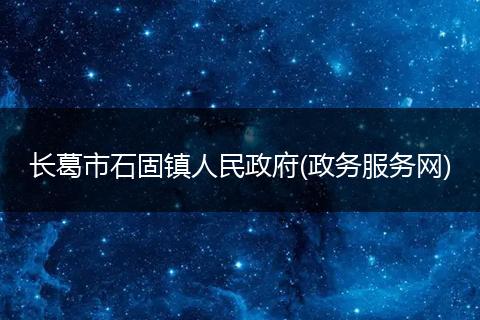 长葛市石固镇人民政府(政务服务网)