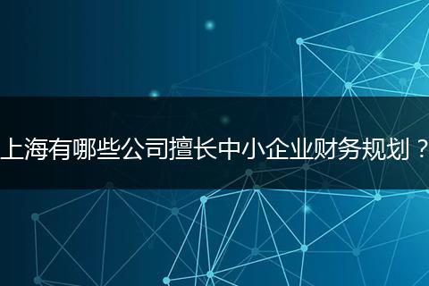 上海有哪些公司擅长中小企业财务规划?