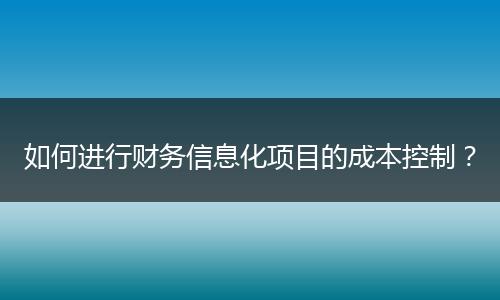 如何进行财务信息化项目的成本控制?