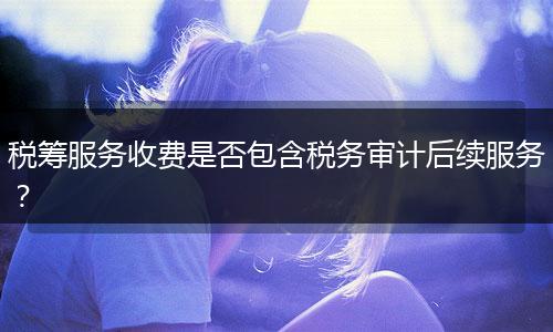 税筹服务收费是否包含税务审计后续服务?