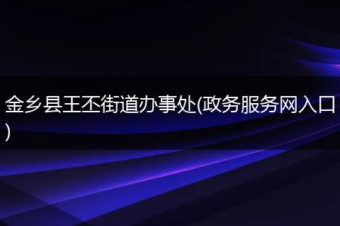 金乡县王丕街道办事处(政务服务网入口)