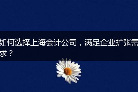 如何选择上海会计公司，满足企业扩张需求？