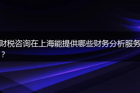 财税咨询在上海能提供哪些财务分析服务?