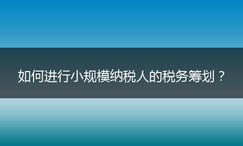 如何进行小规模纳税人的税务筹划?