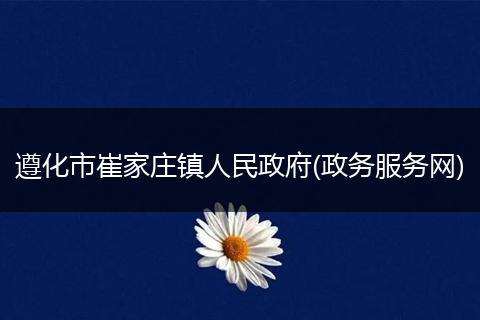 遵化市崔家庄镇人民政府(政务服务网)