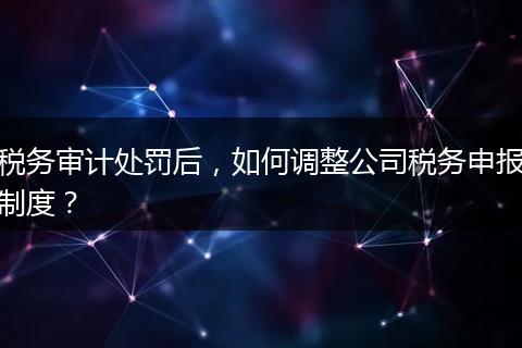 税务审计处罚后,如何调整公司税务申报制度?