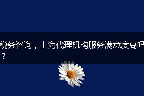 税务咨询,上海代理机构服务满意度高吗?