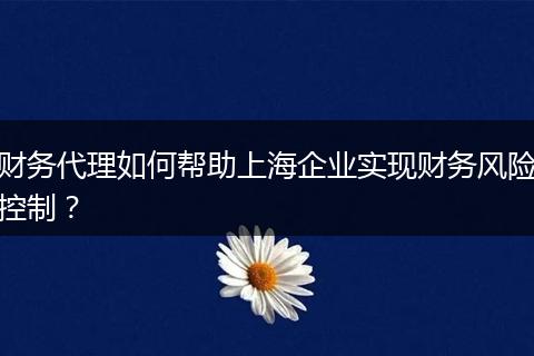 财务代理如何帮助上海企业实现财务风险控制?