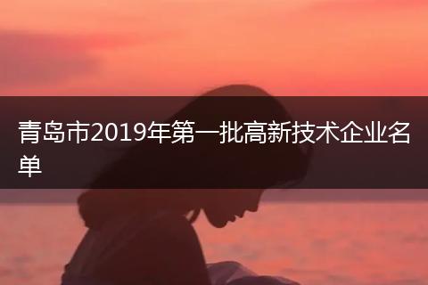 青岛市2019年第一批高新技术企业名单