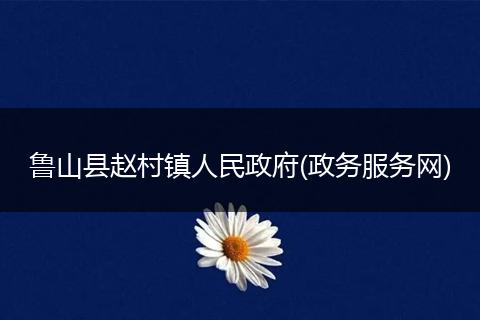 鲁山县赵村镇人民政府(政务服务网)