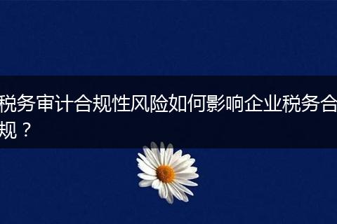 税务审计合规性风险如何影响企业税务合规?