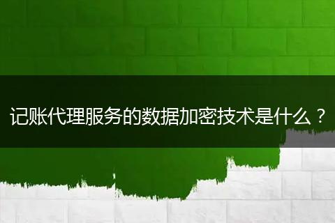 记账代理服务的数据加密技术是什么?