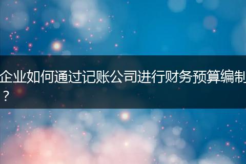 企业如何通过记账公司进行财务预算编制?
