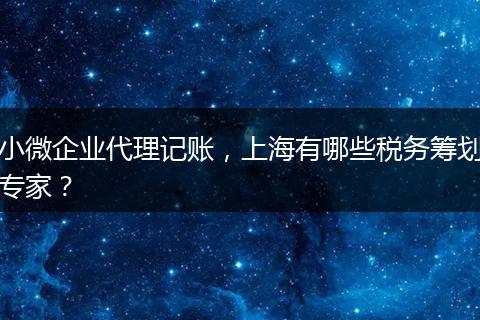 小微企业代理记账,上海有哪些税务筹划专家?