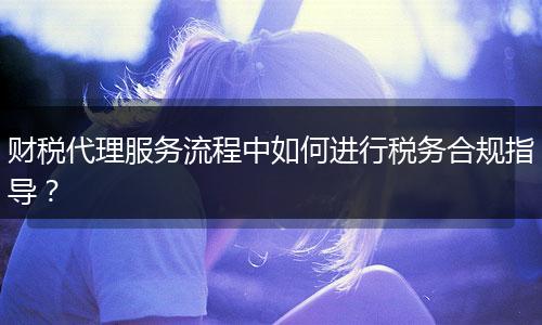 财税代理服务流程中如何进行税务合规指导?