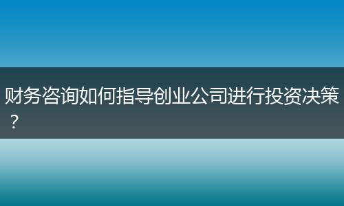 财务咨询如何指导创业公司进行投资决策?