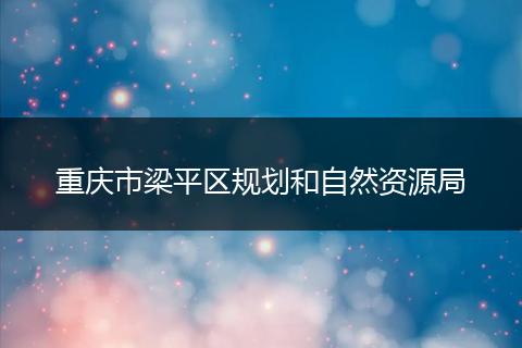 重庆市梁平区规划和自然资源局