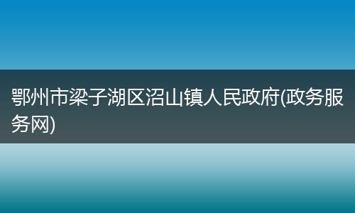 鄂州市梁子湖区沼山镇人民政府(政务服务网)
