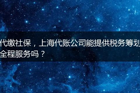 代缴社保,上海代账公司能提供税务筹划全程服务吗?