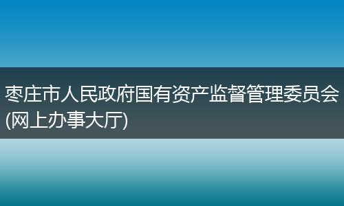 枣庄市人民政府国有资产监督管理委员会(网上办事大厅)