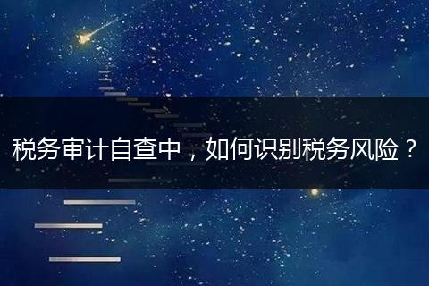 税务审计自查中,如何识别税务风险?