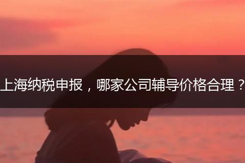 上海纳税申报,哪家公司辅导价格合理?