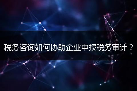 税务咨询如何协助企业申报税务审计?
