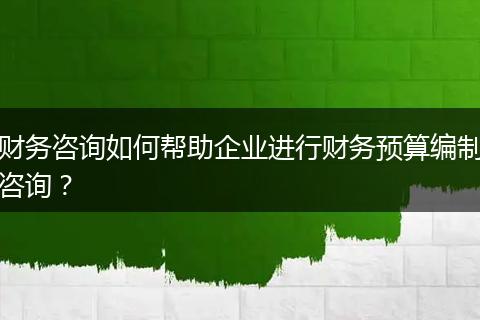 财务咨询如何帮助企业进行财务预算编制咨询?
