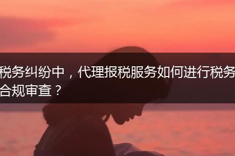 税务纠纷中,代理报税服务如何进行税务合规审查?