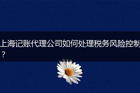 上海记账代理公司如何处理税务风险控制？