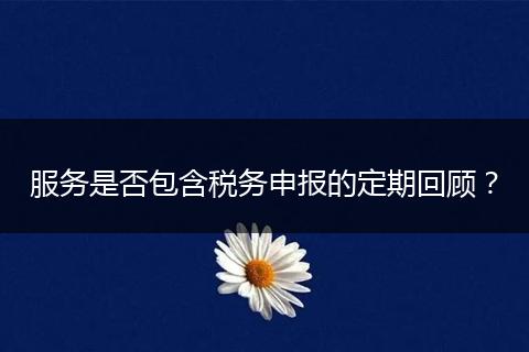 服务是否包含税务申报的定期回顾?