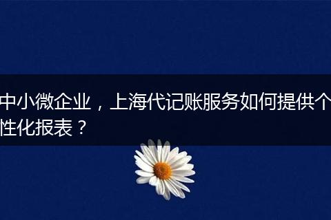 中小微企业,上海代记账服务如何提供个性化报表?