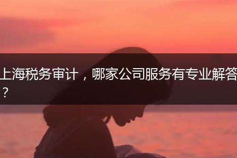 上海税务审计,哪家公司服务有专业解答?