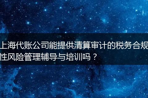 上海代账公司能提供清算审计的税务合规性风险管理辅导与培训吗?
