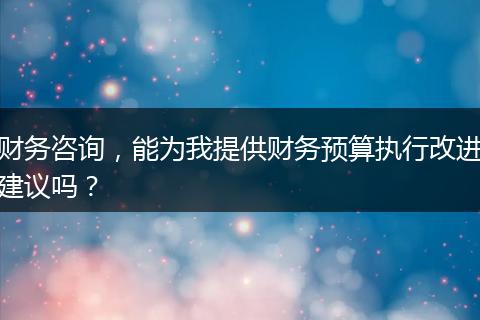 财务咨询,能为我提供财务预算执行改进建议吗?