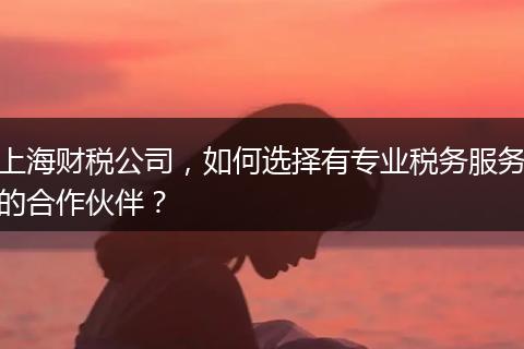 上海财税公司,如何选择有专业税务服务的合作伙伴?