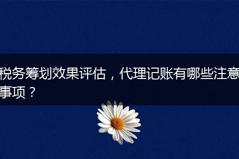 税务筹划效果评估,代理记账有哪些注意事项?