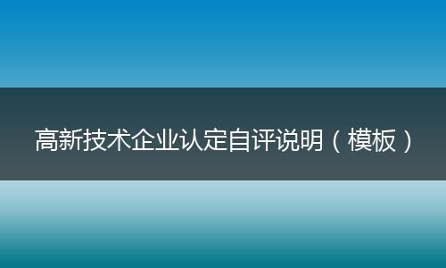 高新技术企业认定自评说明(模板)