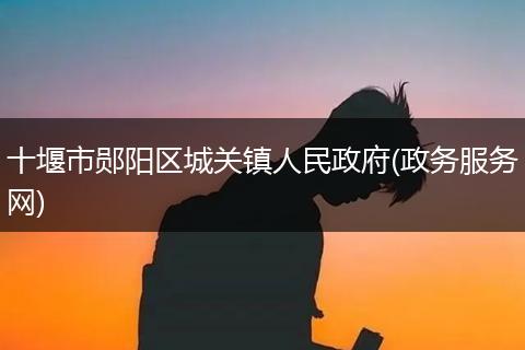 十堰市郧阳区城关镇人民政府(政务服务网)