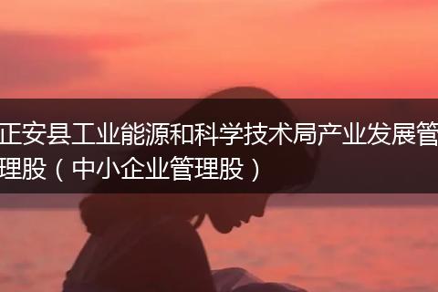 正安县工业能源和科学技术局产业发展管理股(中小企业管理股)