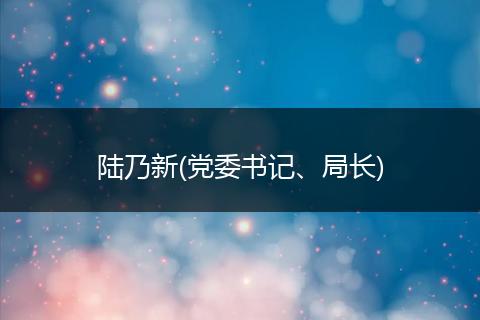 陆乃新(党委书记、局长)