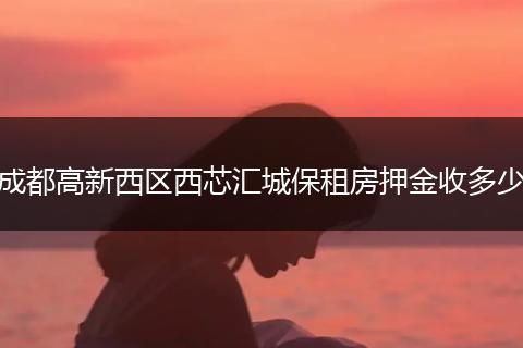 成都高新西区西芯汇城保租房押金收多少