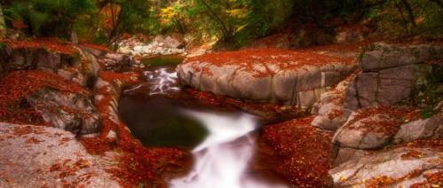 2025龙苍沟彩林观赏点位推荐