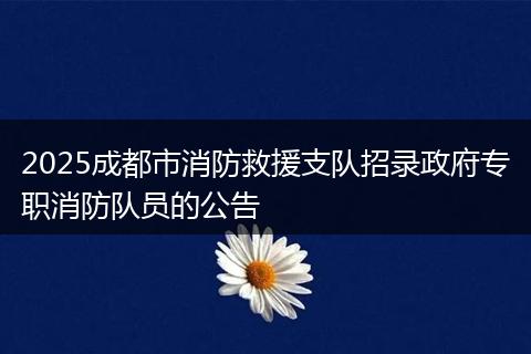 2025成都市消防救援支队招录政府专职消防队员的公告