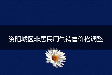 资阳城区非居民用气销售价格调整