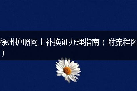 徐州护照网上补换证办理指南（附流程图）
