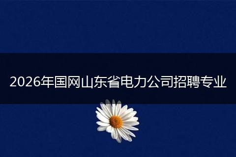 2026年国网山东省电力公司招聘专业
