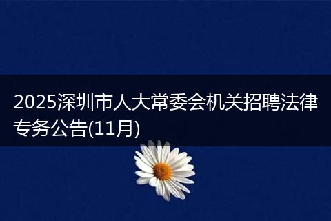 2025深圳市人大常委会机关招聘法律专务公告(11月)