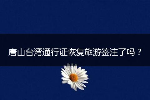 唐山台湾通行证恢复旅游签注了吗？